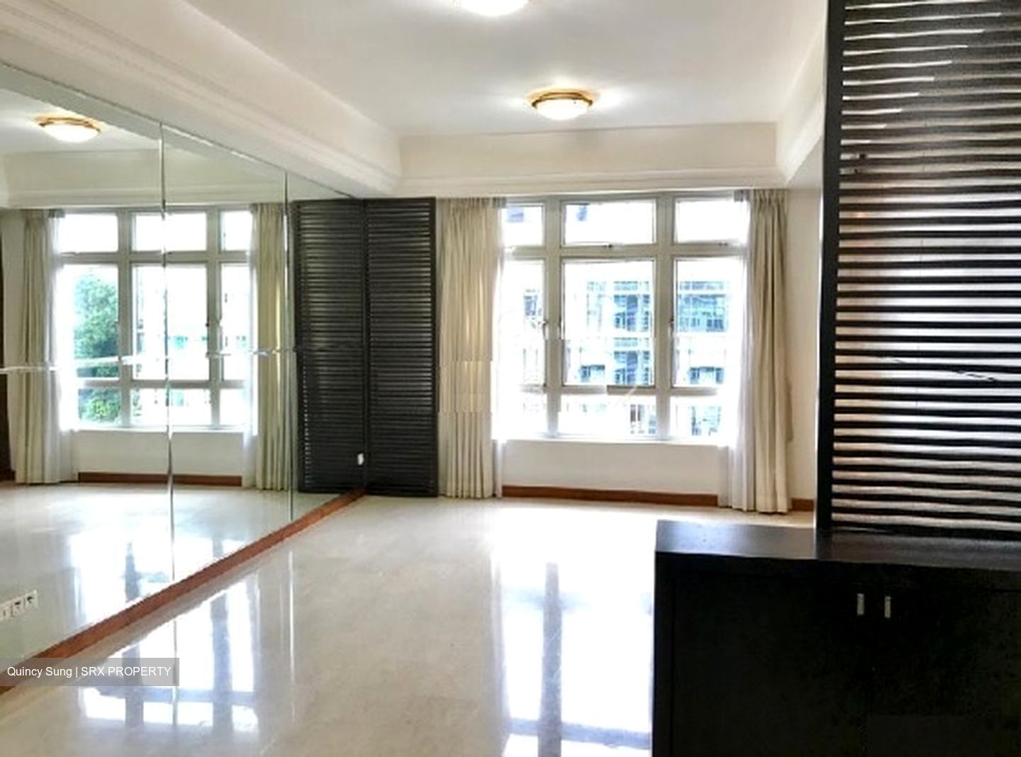 The Balmoral Spring (D10), Apartment #395453311